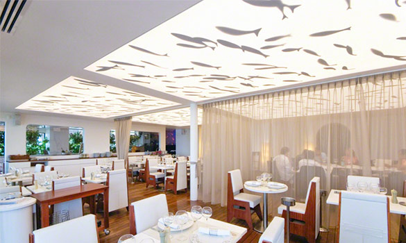 Barrisol Light